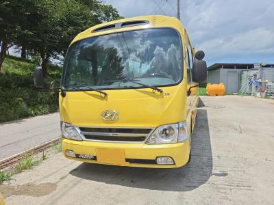 2015 Hyundai New County
