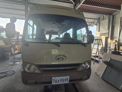 2009 Hyundai e-County