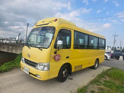2011 Hyundai e-County