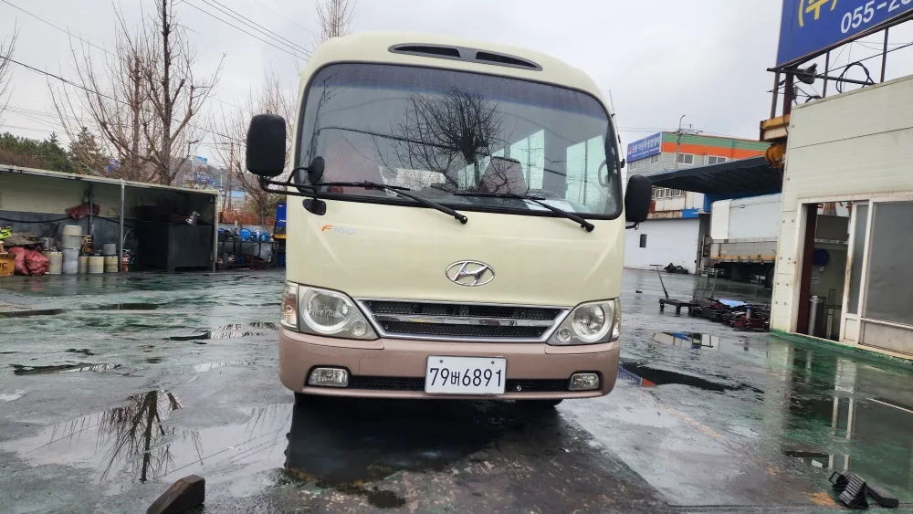 2012 Hyundai e-County