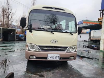 2012 Hyundai e-County