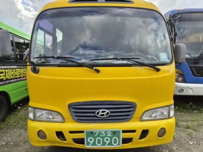 2006 Hyundai e-County