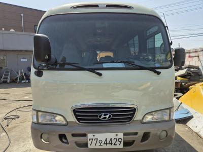 2007 Hyundai e-County