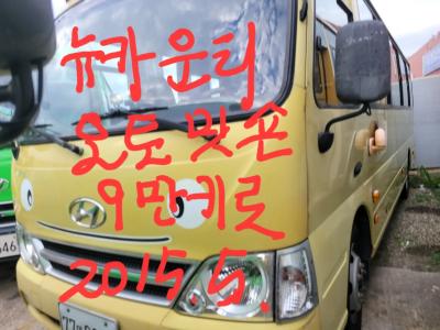 2015 Hyundai New County