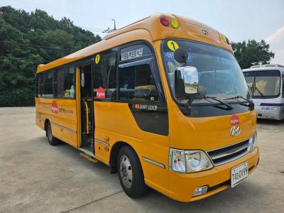 2015 Hyundai New County