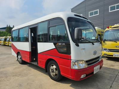 2010 Hyundai e-County