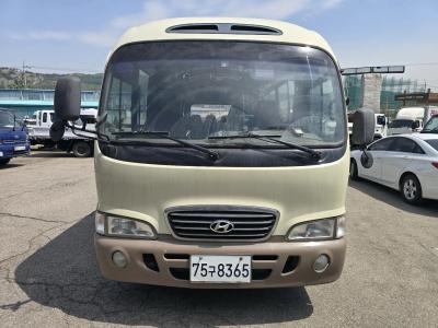 2007 Hyundai e-County