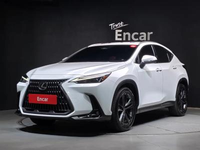 2026 Lexus NX