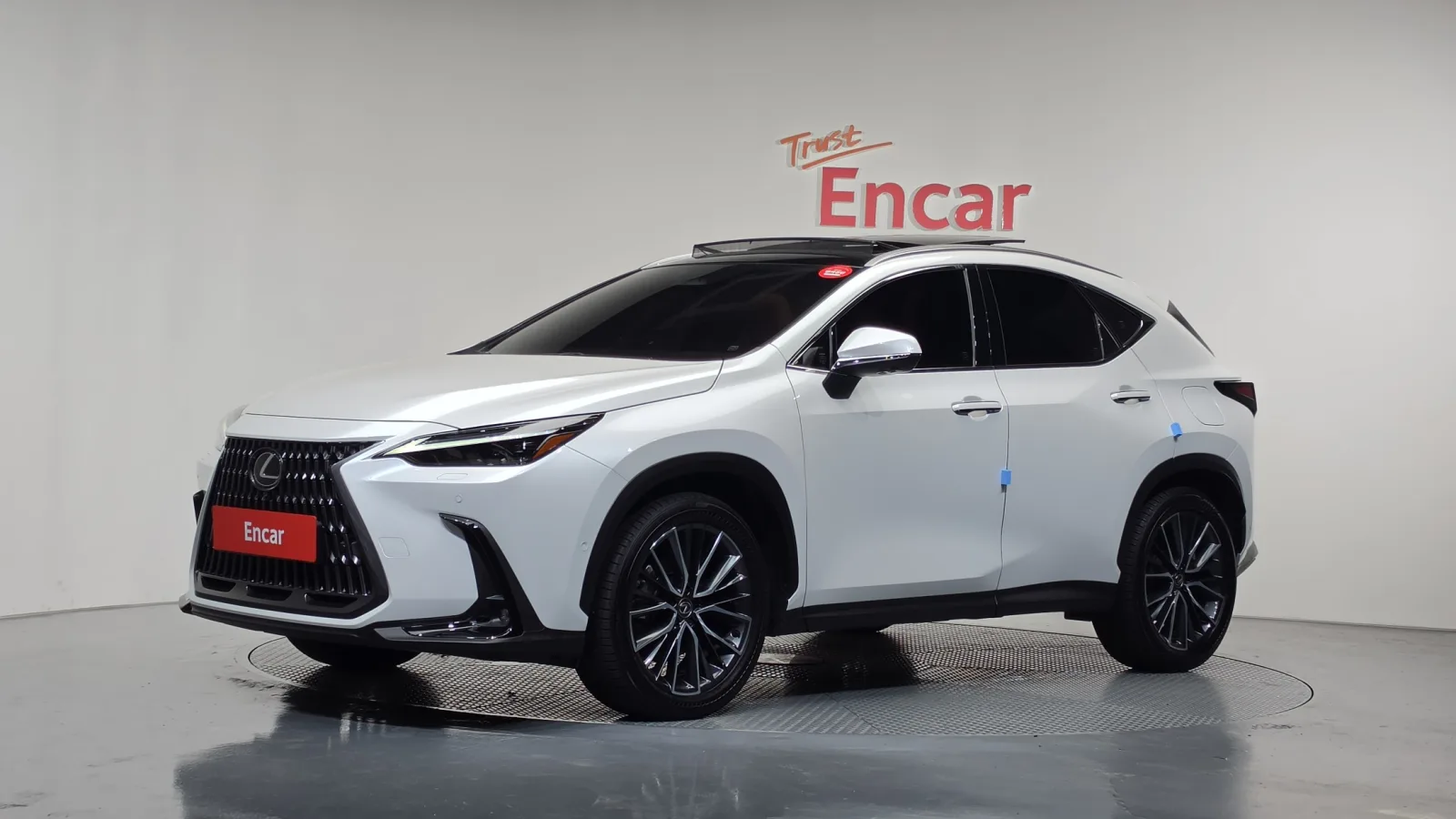 2025 Lexus NX