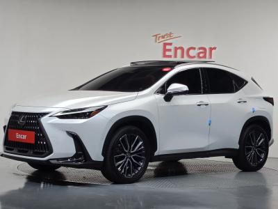 2025 Lexus NX
