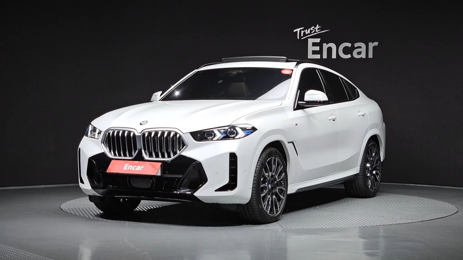 2024 BMW X6