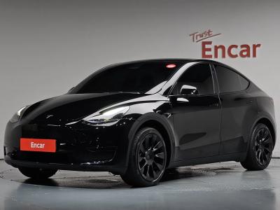 2025 Tesla Model Y