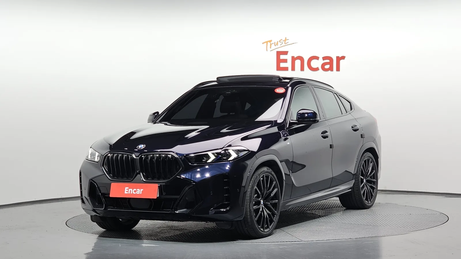 2024 BMW X6