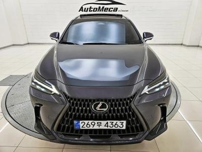 2024 Lexus NX