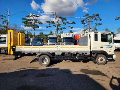 2008 Hyundai Mega Truck