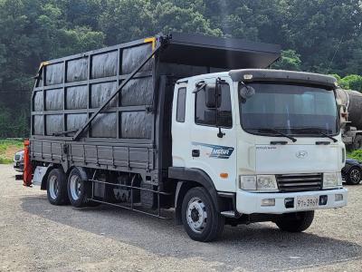 2010 Hyundai Mega Truck