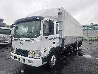 2010 Hyundai Mega Truck