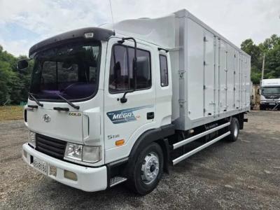 2008 Hyundai Mega Truck