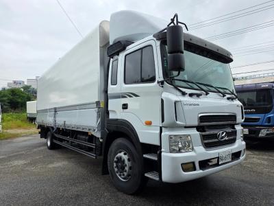 2011 Hyundai Mega Truck
