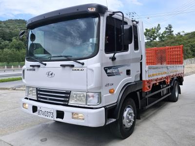 2008 Hyundai Mega Truck