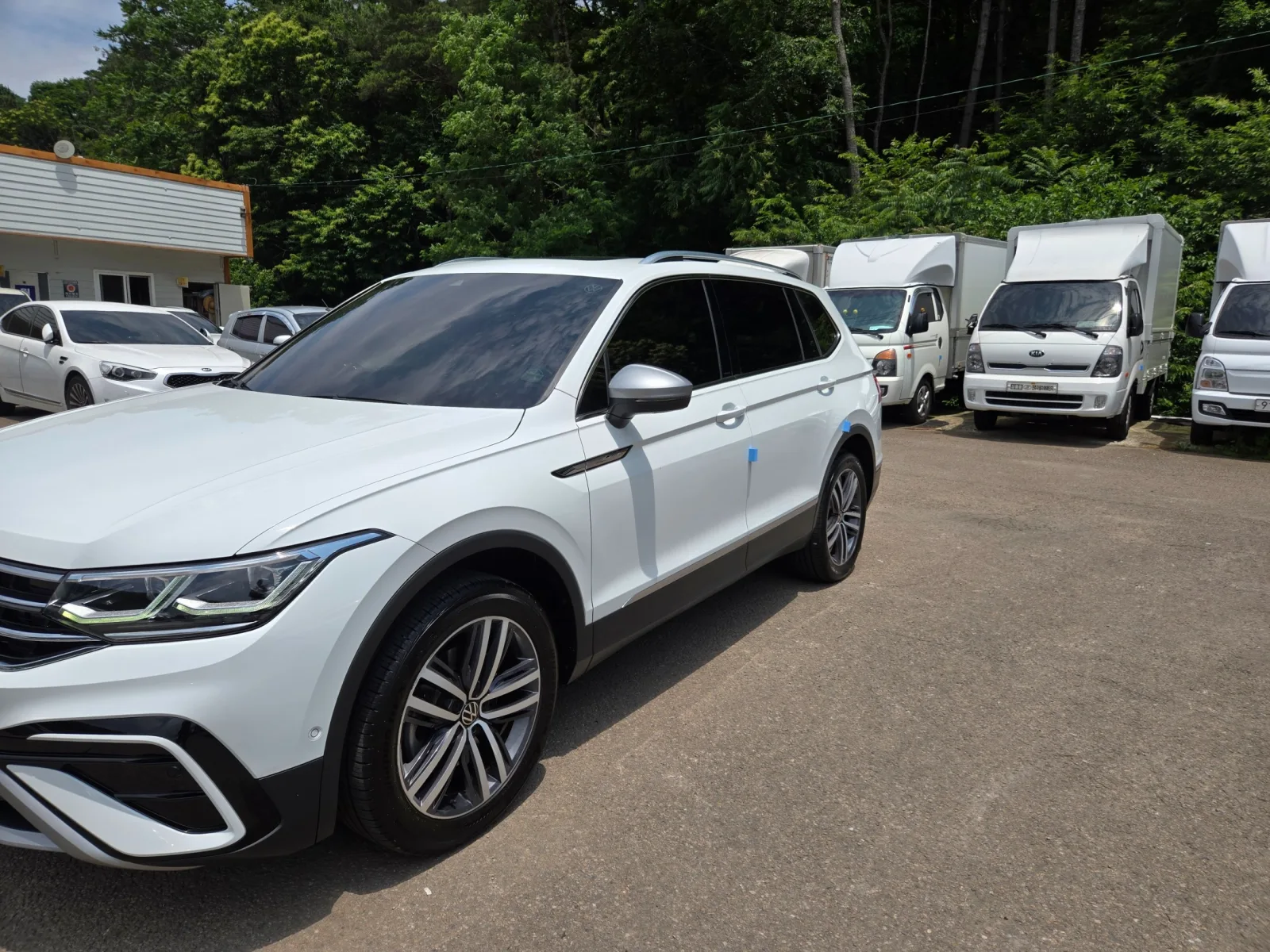 2023 Volkswagen Tiguan