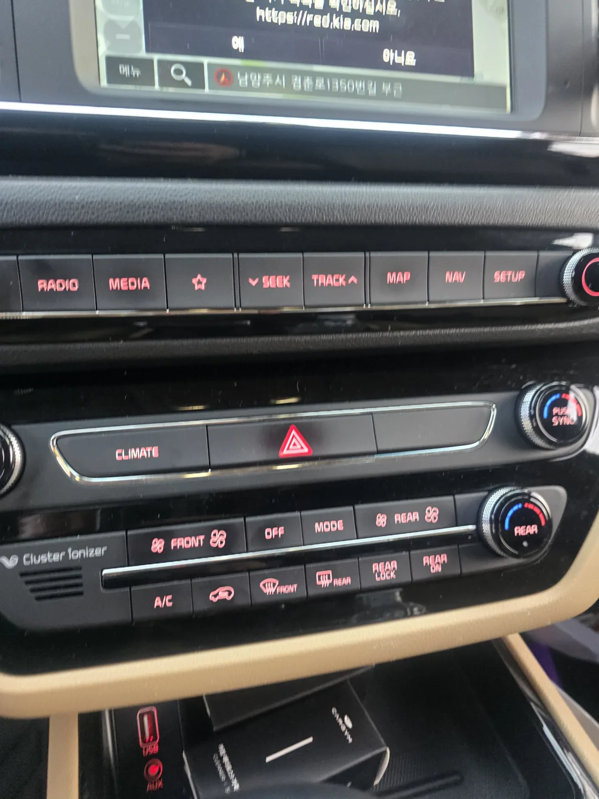2019 Kia Carnival