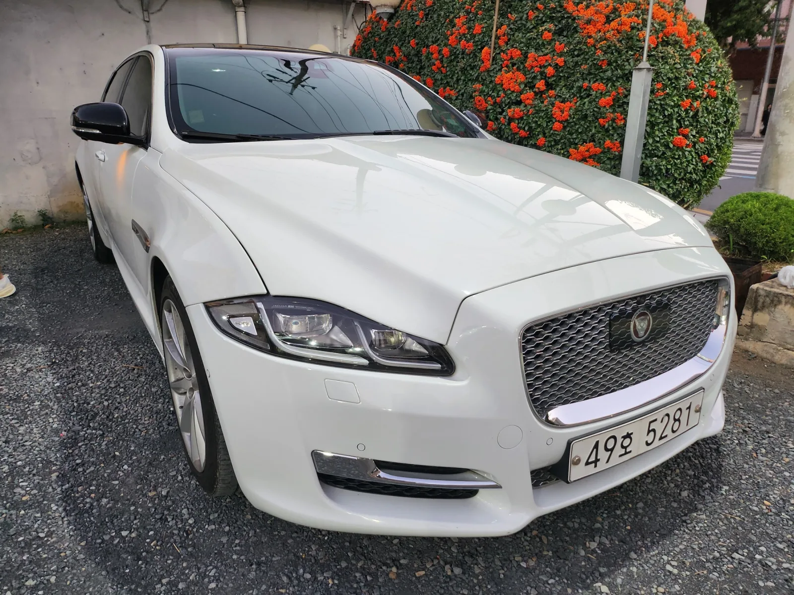 2019 Jaguar XJ