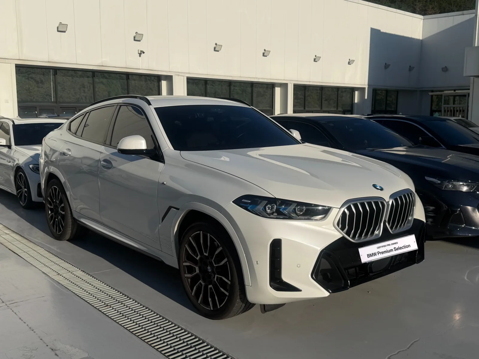2025 BMW X6