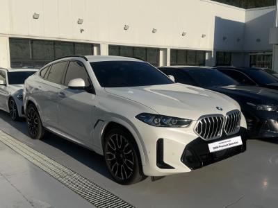 2025 BMW X6