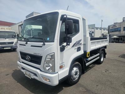 2017 Hyundai All New Mighty