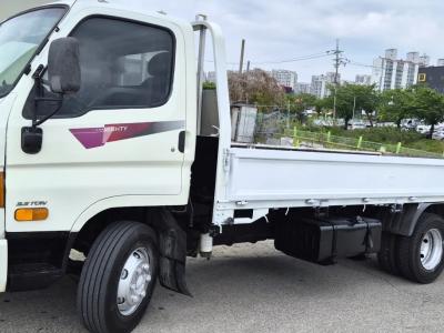 2014 Hyundai e-Mighty
