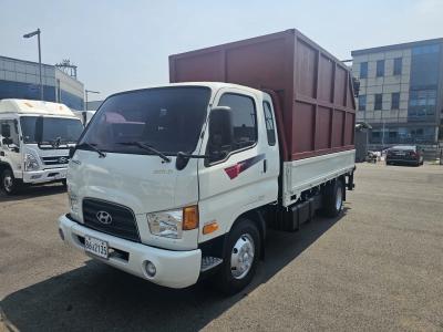 2010 Hyundai e-Mighty