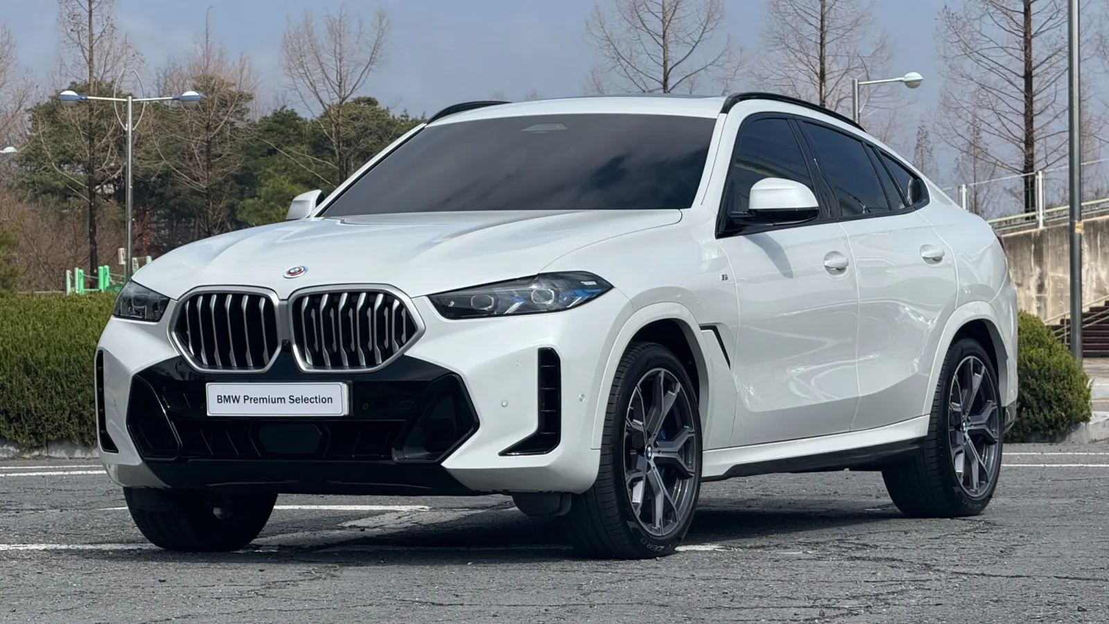 2024 BMW X6