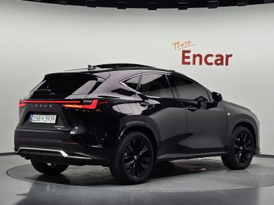 2025 Lexus NX