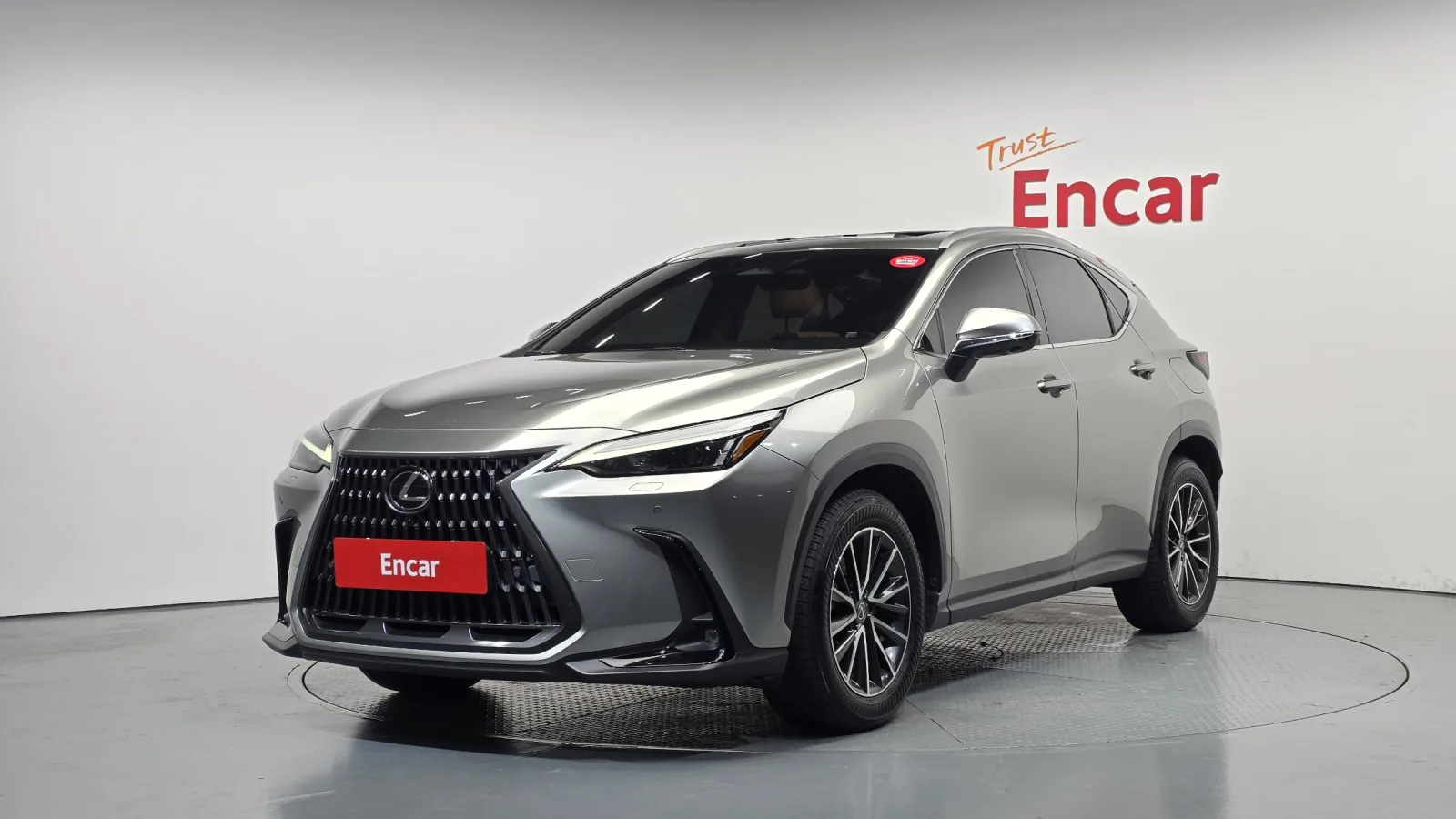 2024 Lexus NX