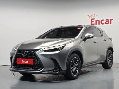 2024 Lexus NX