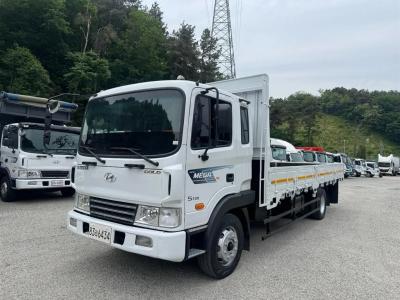 2006 Hyundai Mega Truck