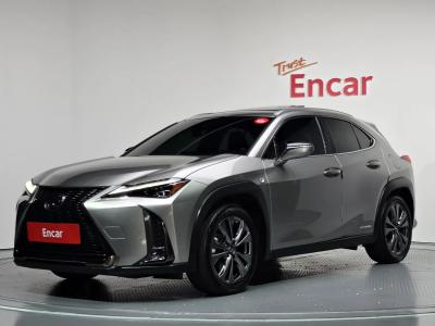 2020 Lexus UX