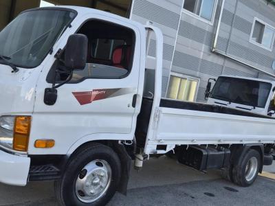 2014 Hyundai Mighty Cutie
