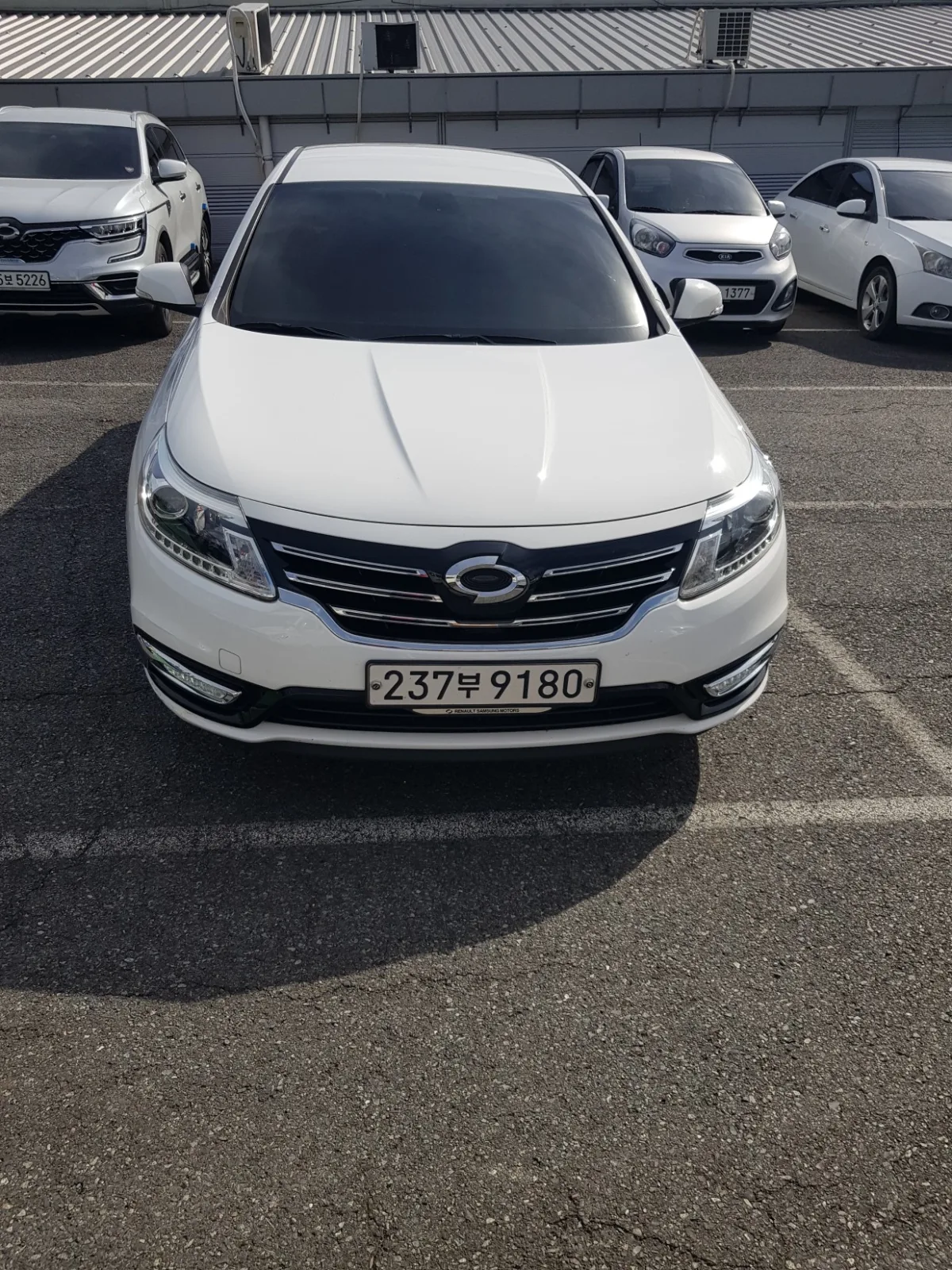 2019 Renault Korea SM5
