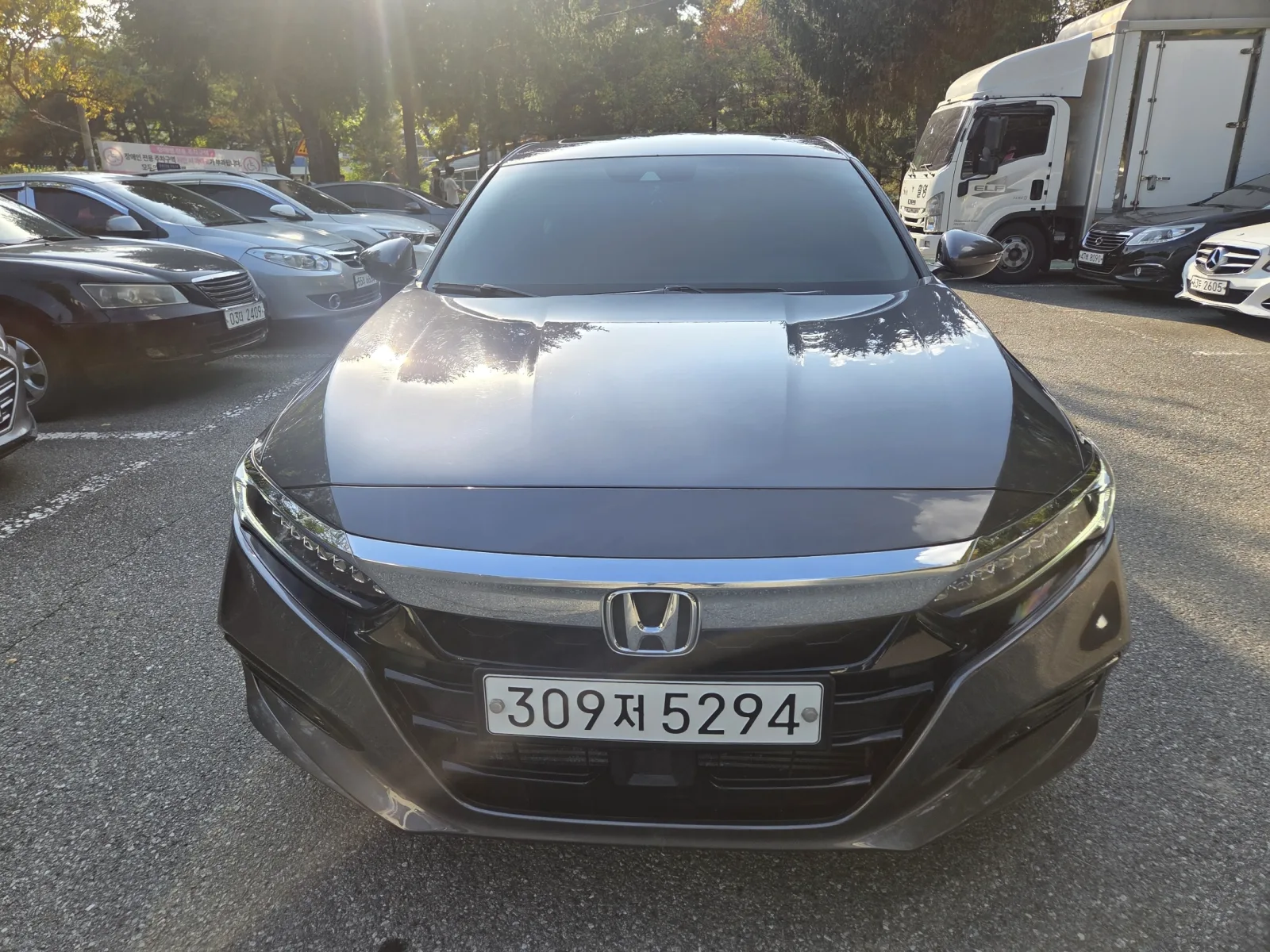 2019 Honda Accord