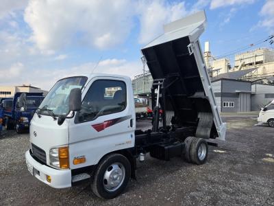 2011 Hyundai e-Mighty