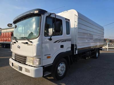 2010 Hyundai Mega Truck
