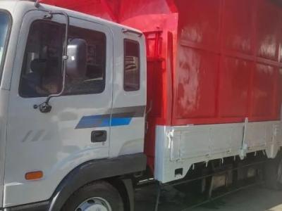 2007 Hyundai Mega Truck