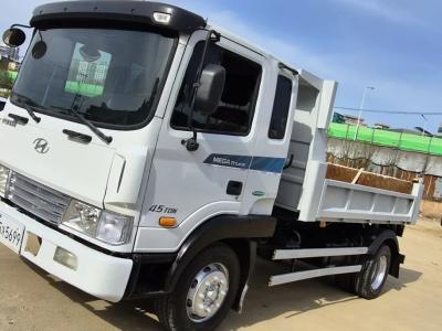 2008 Hyundai Mega Truck