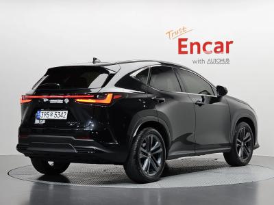 2024 Lexus NX