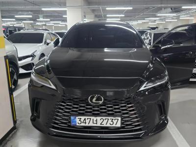 2024 Lexus RX