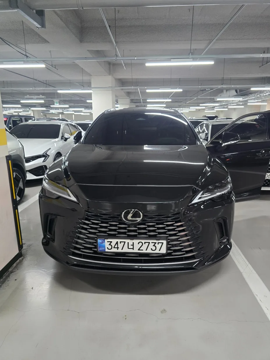 2024 Lexus RX