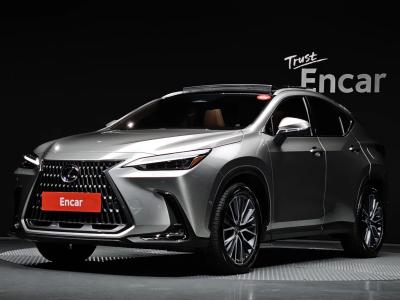 2025 Lexus NX