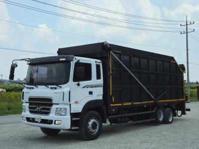 2011 Hyundai Mega Truck